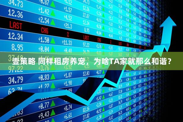 壹策略 同样租房养宠，为啥TA家就那么和谐？