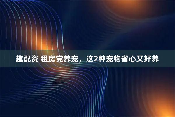 趣配资 租房党养宠，这2种宠物省心又好养