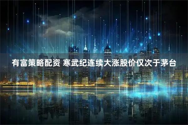 有富策略配资 寒武纪连续大涨股价仅次于茅台