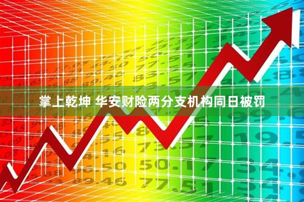 掌上乾坤 华安财险两分支机构同日被罚