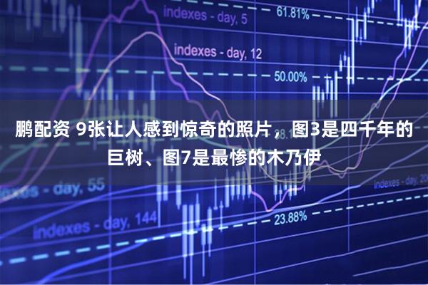 鹏配资 9张让人感到惊奇的照片，图3是四千年的巨树、图7是最惨的木乃伊