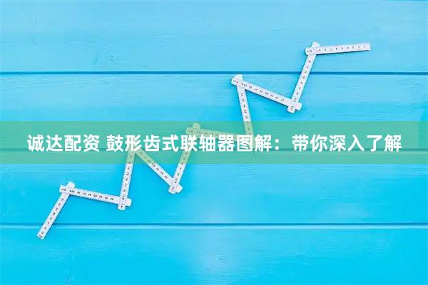 诚达配资 鼓形齿式联轴器图解：带你深入了解