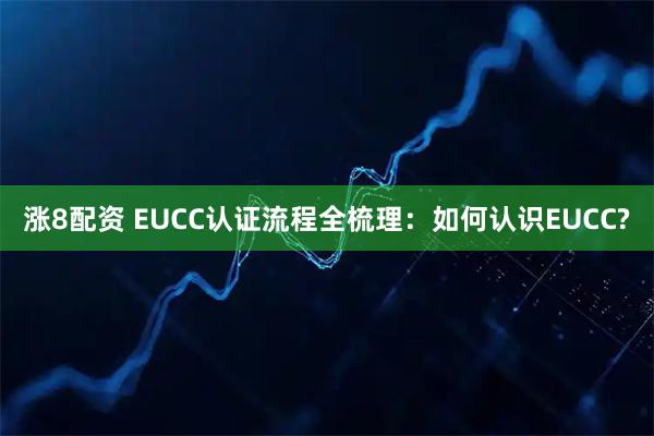 涨8配资 EUCC认证流程全梳理:如何认识EUCC?